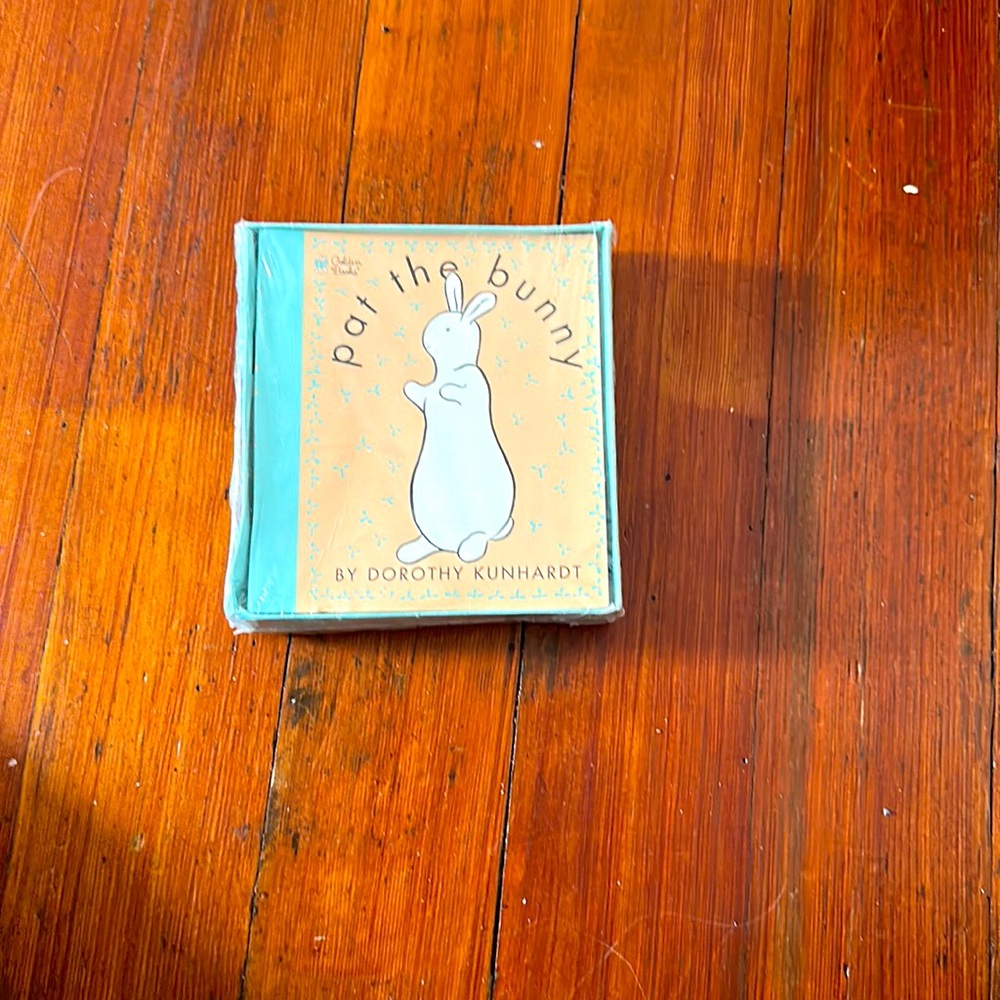 Pat the Bunny book